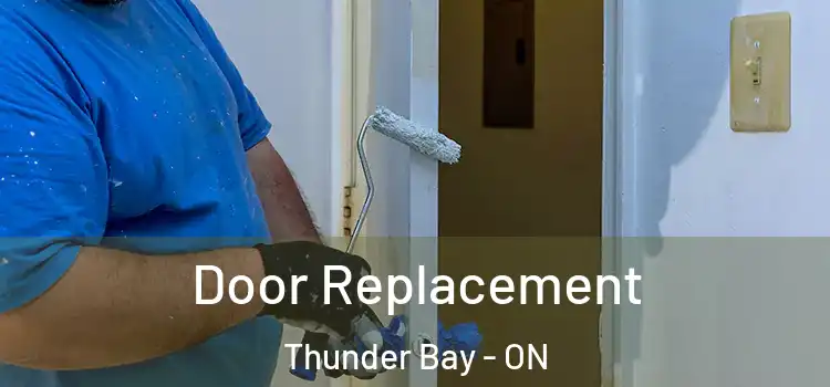  Door Replacement Thunder Bay - ON
