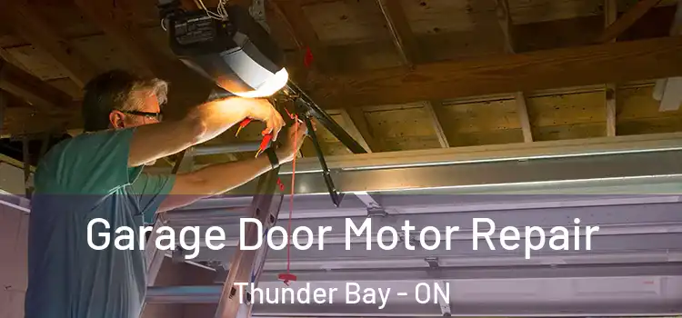  Garage Door Motor Repair Thunder Bay - ON