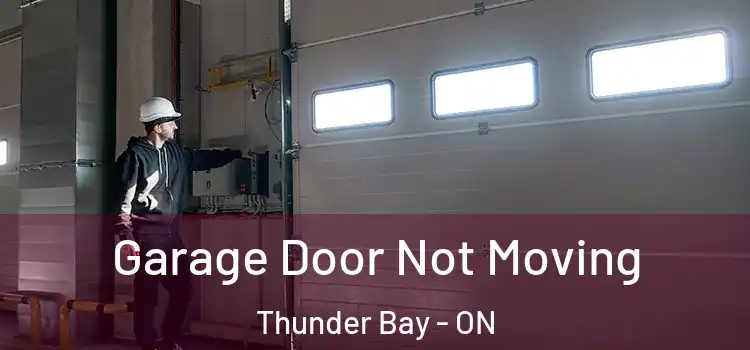  Garage Door Not Moving Thunder Bay - ON