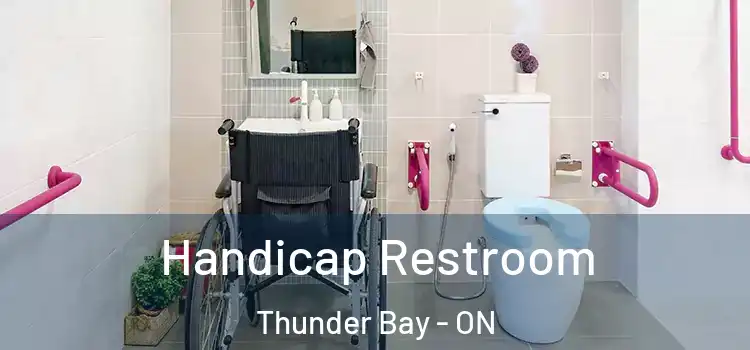 Handicap Restroom Thunder Bay - ON