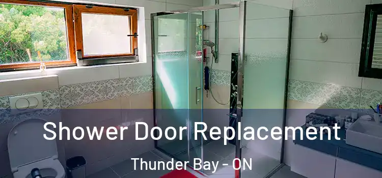  Shower Door Replacement Thunder Bay - ON